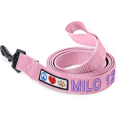 Pawtitas Pawtitas Solid Personalized Dog Leash, Millennial Pink, Small: 6-ft long, 5/8-in wide