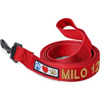 Pawtitas Pawtitas Solid Personalized Dog Leash, Red, Large: 6-ft long, 1-in wide