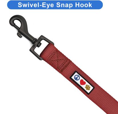 Show full view: Pawtitas Solid Personalized Dog Leash, Marsala Brown, XX-Small: 6-ft long, 3/8-in wide slide 8 of 10
