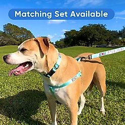 Pawtitas Solid Personalized Dog Collar, Millennial Pink, X-Small: 8 to 12-in neck, 3/8-in wide slide 2 of 9