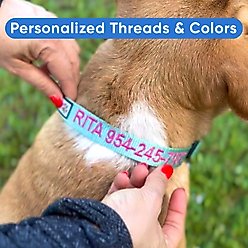Pawtitas Solid Personalized Dog Collar, Grey, Large: 16 to 26-in neck, 1-in wide slide 2 of 9