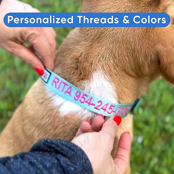 Show full view: Pawtitas Solid Personalized Dog Collar, Pink, Medium: 13 to 20-in neck, 3/4-in wide slide 7 of 10