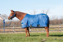 Weaver Equine 420-Denier Stable Horse Sheet, Blue, 78-in