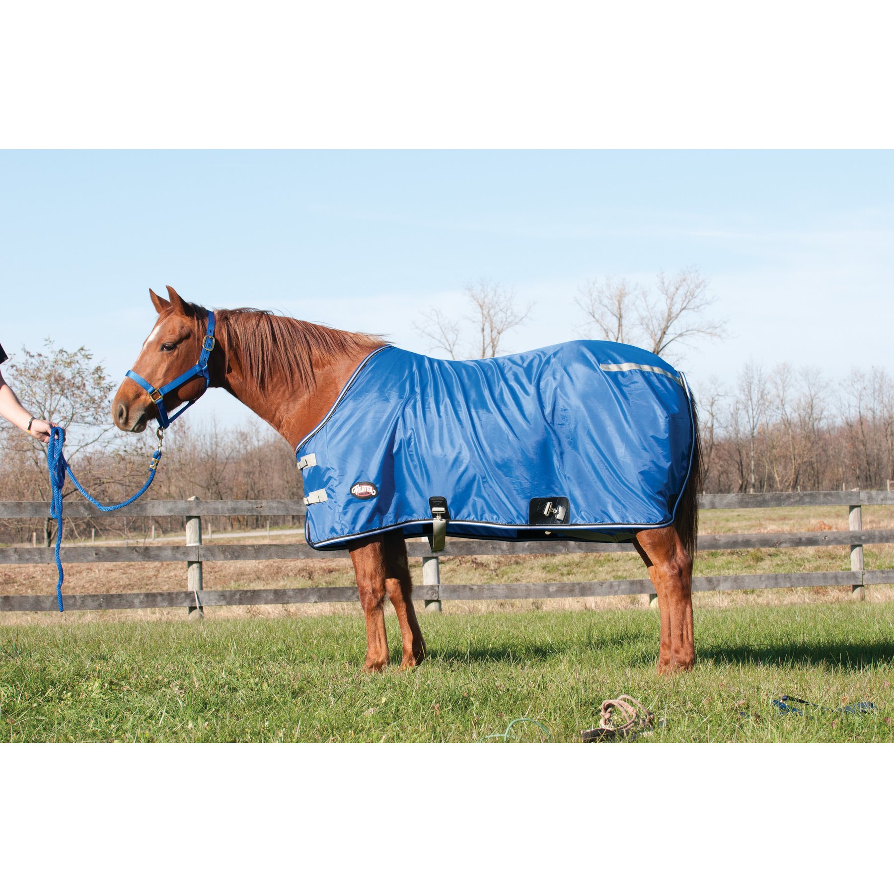 Weaver Equine 420-Denier Horse Stable Sheet, Blue, 80-in
