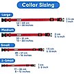 Show in main carousel: Pawtitas Solid Personalized Dog Collar, Pink, Medium: 13 to 20-in neck, 3/4-in wide slide 4 of 10