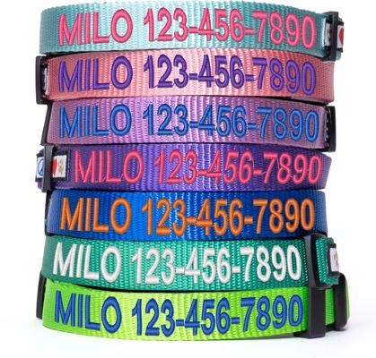 Show full view: Pawtitas Solid Personalized Dog Collar, Lush Green, Medium: 13 to 20-in neck, 3/4-in wide slide 2 of 11