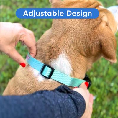 Show full view: Pawtitas Solid Personalized Dog Collar, Red, X-Small: 8 to 12-in neck, 3/8-in wide slide 6 of 11