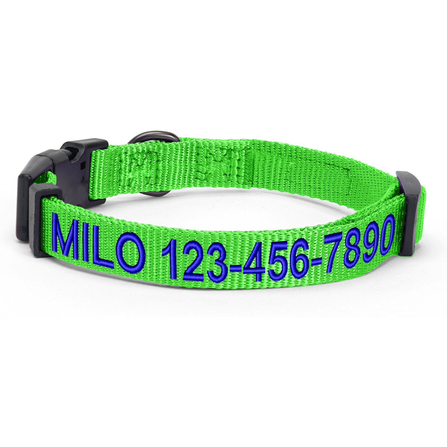 Pawtitas Solid Personalized Dog Collar, Green, X-Small: 8 to 12-in neck, 3/8-in wide