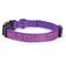 Show in main carousel: Pawtitas Solid Personalized Dog Collar, Purple, Large: 16 to 26-in neck, 1-in wide slide 1 of 11