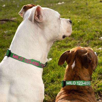 Show full view: Pawtitas Solid Personalized Dog Collar, Lush Green, Medium: 13 to 20-in neck, 3/4-in wide slide 5 of 11
