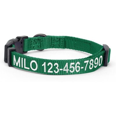 Pawtitas Pawtitas Solid Personalized Dog Collar, Lush Green, Large: 16 to 26-in neck, 1-in wide
