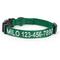 Show in main carousel: Pawtitas Solid Personalized Dog Collar, Lush Green, Medium: 13 to 20-in neck, 3/4-in wide slide 1 of 11