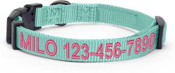Pawtitas Solid Personalized Dog Collar, Teal, X-Small: 8 to 12-in neck, 3/8-in wide