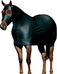 Weaver Equine CoolAid Lycra Horse Sheet, Black, Small