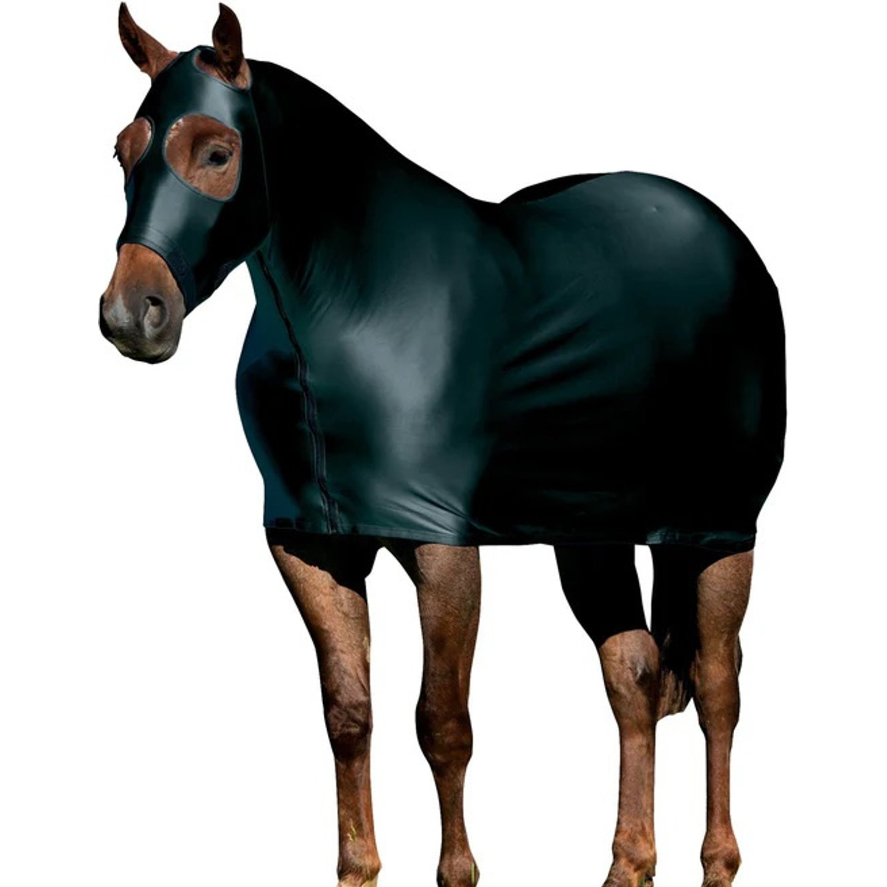 Weaver Equine CoolAid Lycra Horse Sheet, Black, Medium