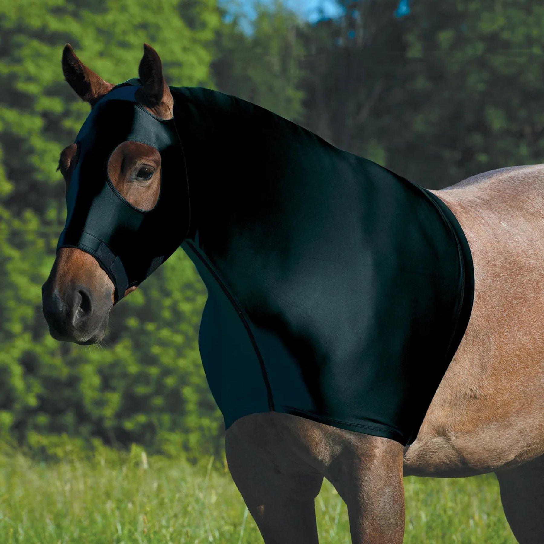 Weaver Equine CoolAid Lycra Horse Hood, Black, Large