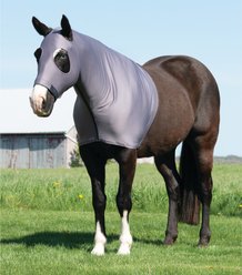 Weaver Equine CoolAid Lycra Horse Hood, Graphite, Large