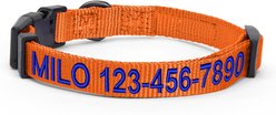 Pawtitas Solid Personalized Dog Collar, Orange, Medium: 13 to 20-in neck, 3/4-in wide