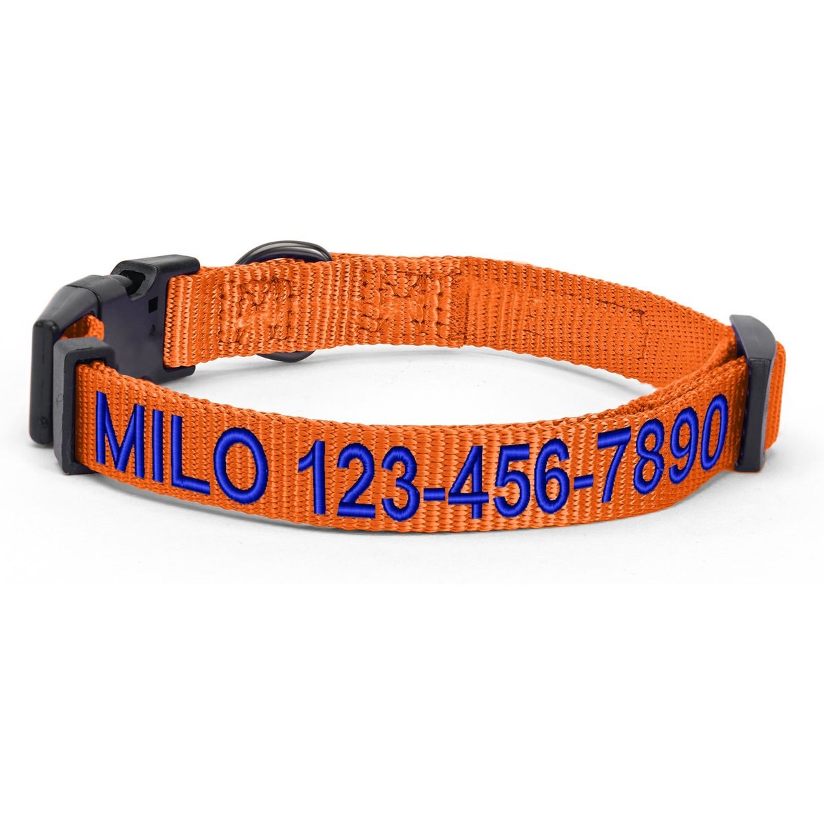 Pawtitas Solid Personalized Dog Collar, Orange, Small: 11 to 16-in neck, 5/8-in wide