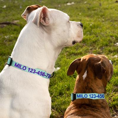 Show full view: Pawtitas Solid Personalized Dog Collar, Teal, Medium: 13 to 20-in neck, 3/4-in wide slide 5 of 11