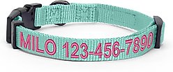 Pawtitas Solid Personalized Dog Collar, Teal, Medium: 13 to 20-in neck, 3/4-in wide