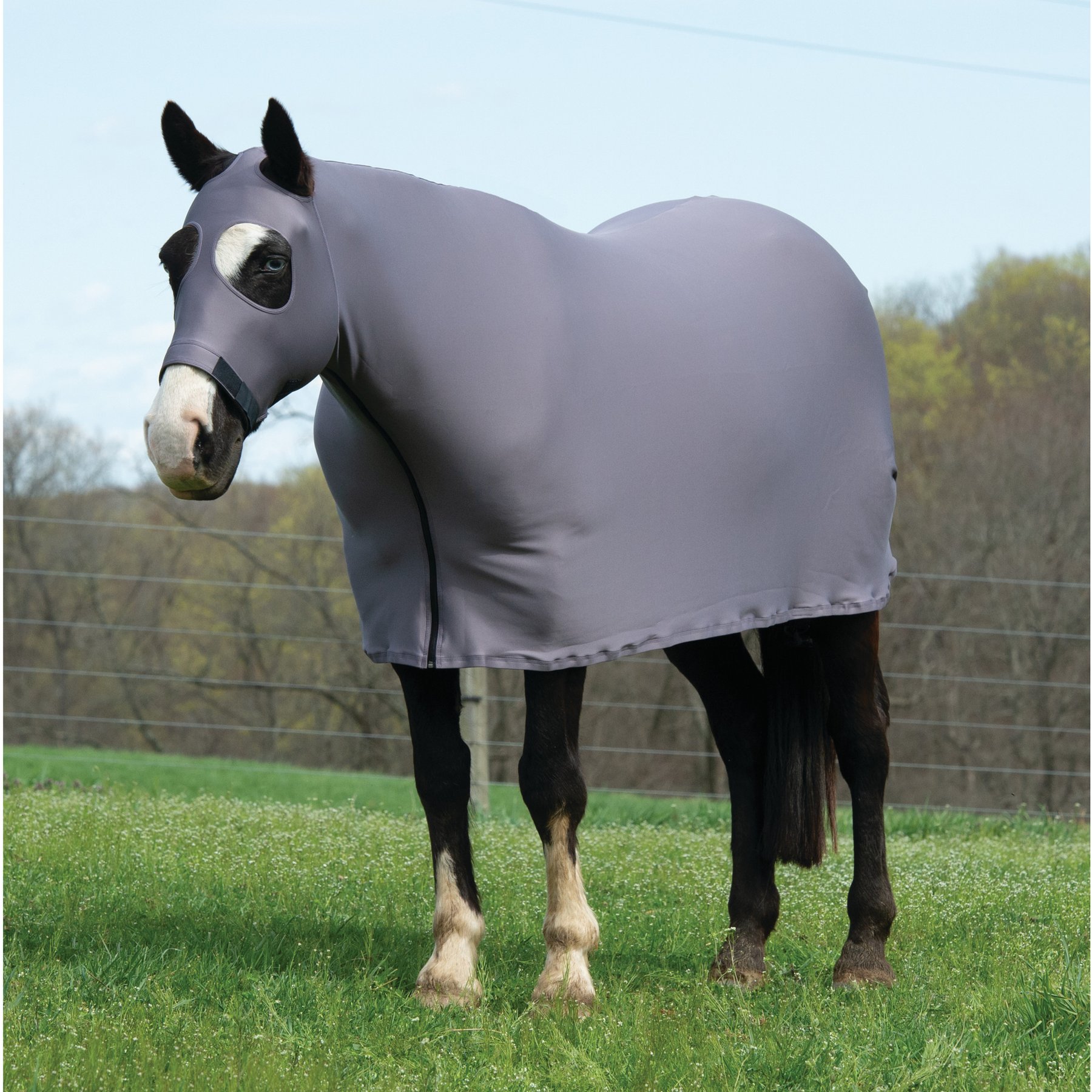 Weaver Equine CoolAid Lycra Horse Sheet, Graphite, Large