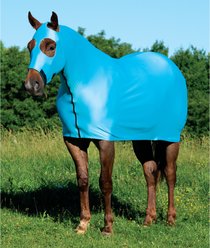 Weaver Equine CoolAid Lycra Horse Sheet, Turquoise, Small