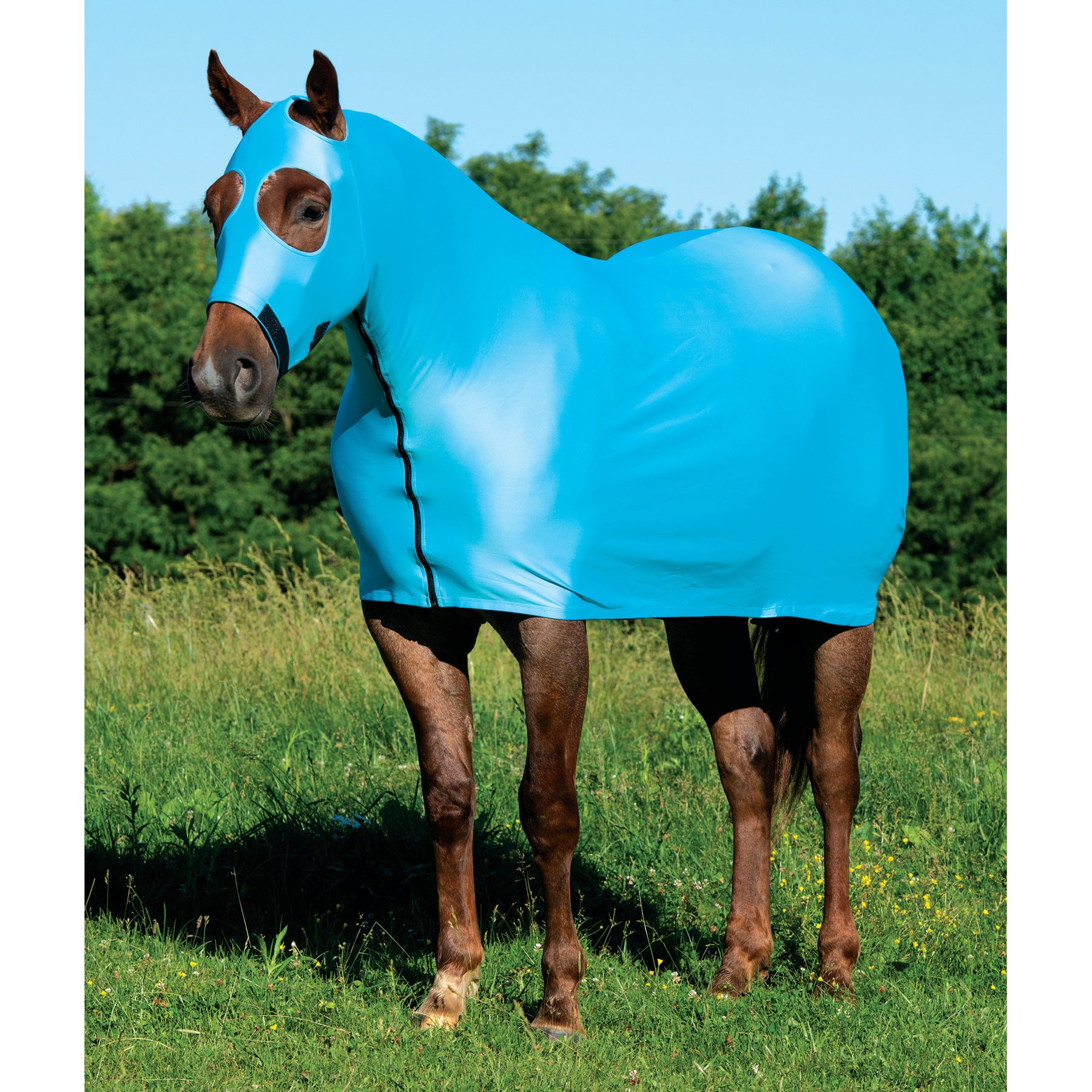 Weaver Equine CoolAid Lycra Horse Sheet, Turquoise, Small