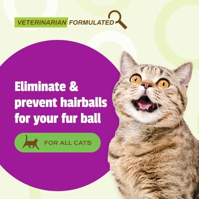 Show full view: Pet Naturals Hairball Cat Chews, 160 count slide 7 of 9