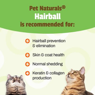 Show full view: Pet Naturals Hairball Cat Chews, 160 count slide 3 of 9