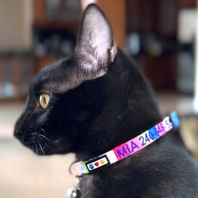 Show full view: Pawtitas Multicolor Personalized Breakaway Cat Collar, Teal/Pink/Purple, X-Small: 8 to 12-in neck, 3/8-in wide slide 4 of 10