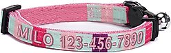 Pawtitas Multicolor Personalized Breakaway Cat Collar, Teal/Pink/Purple, X-Small: 8 to 12-in neck, 3/8-in wide