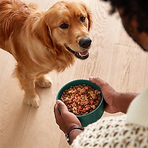 Jinx Homemades Grain-Free Beef & Chicken Pate Wet Dog Food Meal Topper, 3-oz pouch, case of 8