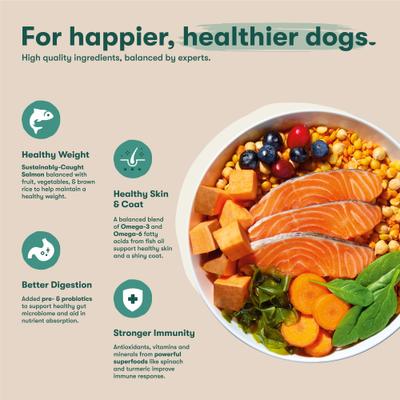 Jinx Small Breed Salmon, Sweet Potato & Carrot Recipe Dry Dog Food