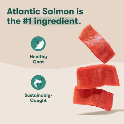 Show full view: Jinx Small Breed Salmon, Sweet Potato & Carrot Recipe Dry Dog Food, 11.5-lb slide 3 of 12