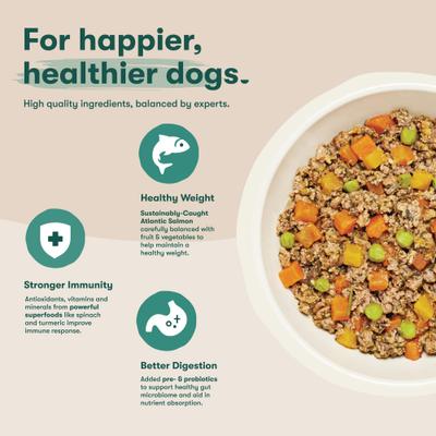 Show full view: Jinx Salmon & Chicken Homemades Grain-Free Wet Dog Food, 9-oz pouch, case of 12 slide 4 of 11