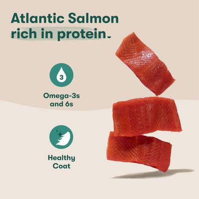 Show full view: Jinx Salmon & Chicken Homemades Grain-Free Wet Dog Food, 9-oz pouch, case of 12 slide 3 of 11