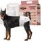 Show in main carousel: Dr. Pol Disposable Wetness Indicator Female Dog Diapers, 50 count, Large: 18 to 27-in waist slide 1 of 9