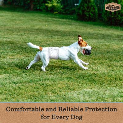 Show full view: Dr. Pol Disposable Wetness Indicator Male Dog Diapers, 50 count, X-Small: 6 to 13-in waist slide 4 of 8