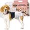 Show in main carousel: Dr. Pol Disposable Wetness Indicator Female Dog Diapers, 50 count, Small: 12 to 20-in waist slide 1 of 9