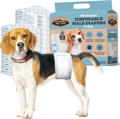 Dr. Pol Disposable Wetness Indicator Male Dog Diapers, 50 count, Small: 12 to 19-in waist