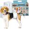 Show in main carousel: Dr. Pol Disposable Wetness Indicator Male Dog Diapers, 50 count, Small: 12 to 19-in waist slide 1 of 8