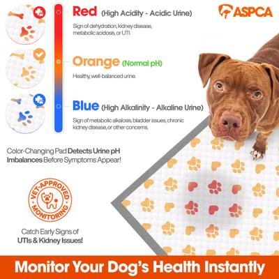 Show full view: ASPCA Health Monitoring Puppy Training Pee Pads, 22 x 22-in, 100 count slide 3 of 3