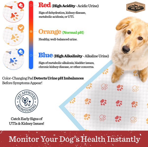 Dr. Pol Health Monitoring Ultra Absorbent Puppy Training Pee Pads, 28 x 30-in, 50 count, Fresh Scented