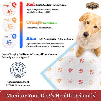 Show full view: Dr. Pol Health Monitoring Ultra Absorbent Puppy Training Pee Pads, 28 x 30-in, 50 count, Fresh Scented slide 3 of 3
