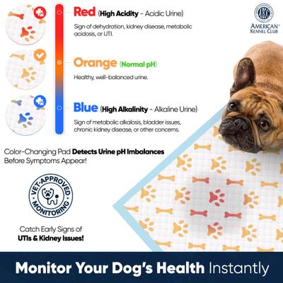 Show full view: American Kennel Club Advanced Health Indicator Quick Dry Gel Puppy Training Pee Pads, Fresh Scented, 28 x 30-in, 50 count slide 3 of 10