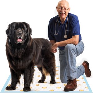 Dr. Pol Health Monitoring Ultra Absorbent Puppy Training Pee Pads, 28 x 30-in, 50 count, Fresh Scented