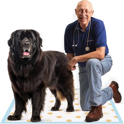 Dr. Pol Dr. Pol Health Monitoring Ultra Absorbent Puppy Training Pee Pads, 28 x 30-in, 50 count, Fresh Scented