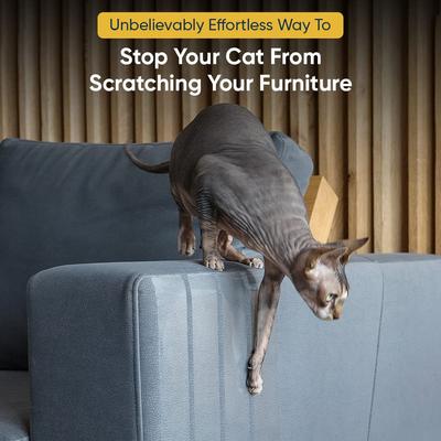 Show full view: Protecto Double-Sided Clear Self-Adhesive Cat Training Tape, Clear, 4 x 30-yd, 1 roll slide 3 of 8