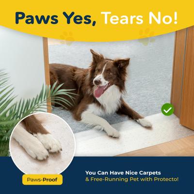 Show full view: Protecto Carpet Scratch Protector Mat Dog & Cat Furniture Cover, Clear, 37.5 x 12-in, 1 count slide 4 of 9